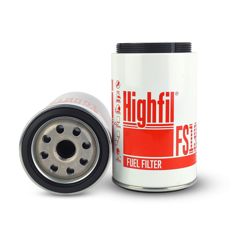 FS19551
